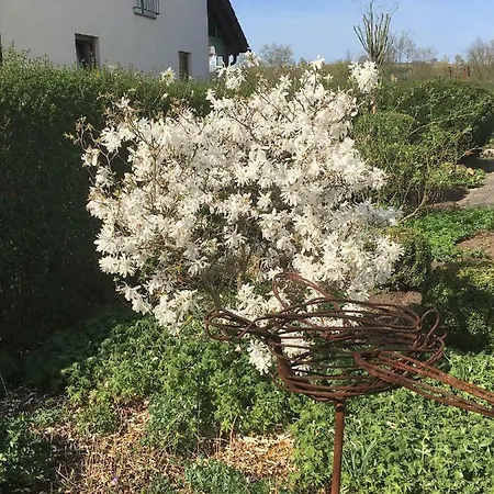 Kastl Apartamento Kastl (Upper Bavaria)
